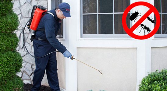 Köse Böcek ve Haşere İlaçlama böcek ilaçlama ve haşere kontrolü — ilaclama-tr.com